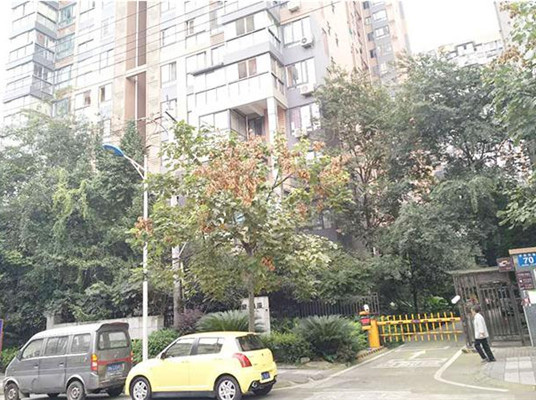 合肥智慧社区停车系统工程案例